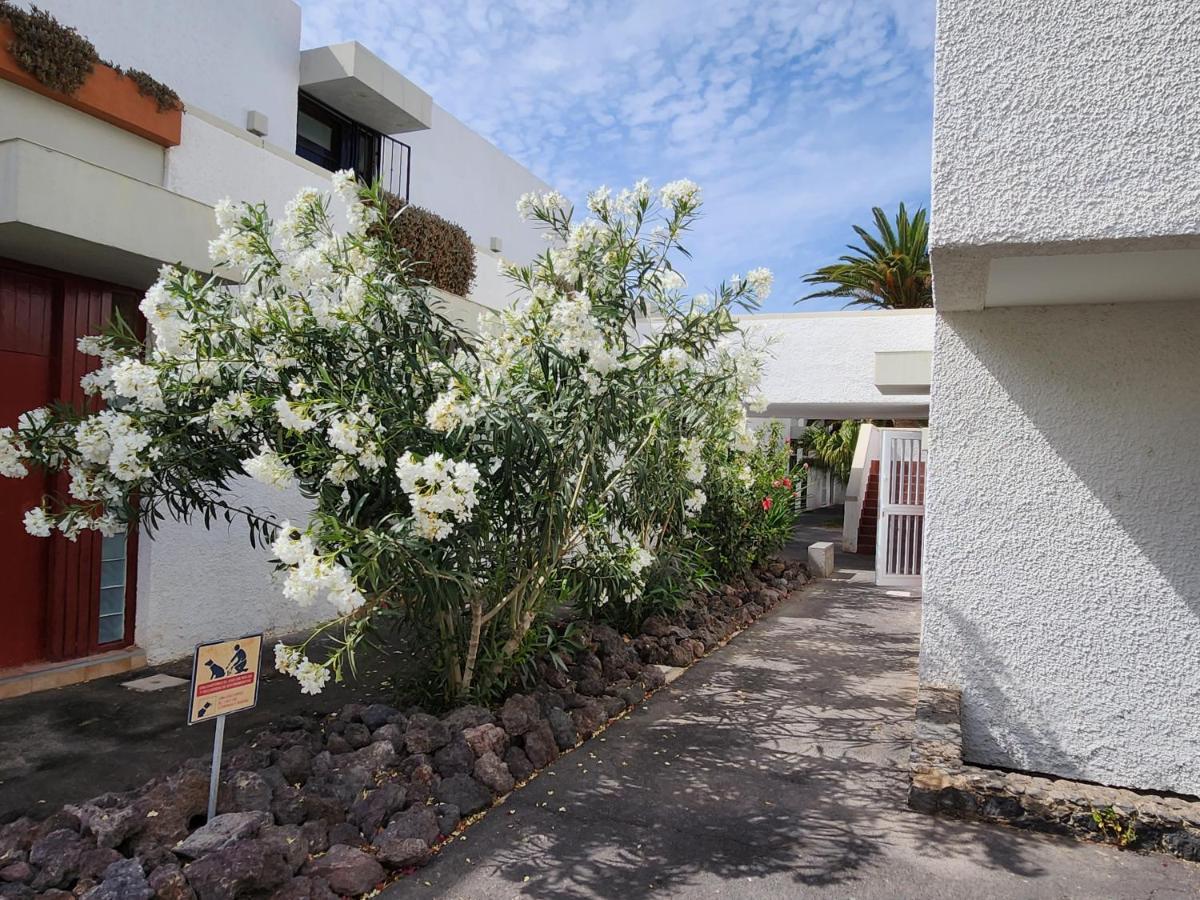 Casa De Mariposas Apartment
